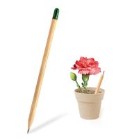 Mini Saksı  Tohumlu Kalem